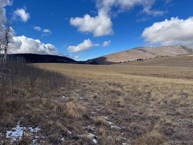 Lot 2397 Petito Drive Fort Garland, CO 81133