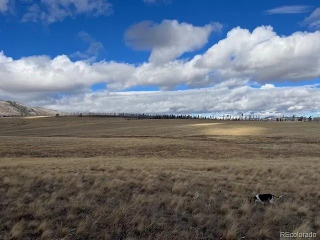 Lot 2397 Petito Drive Fort Garland, CO 81133