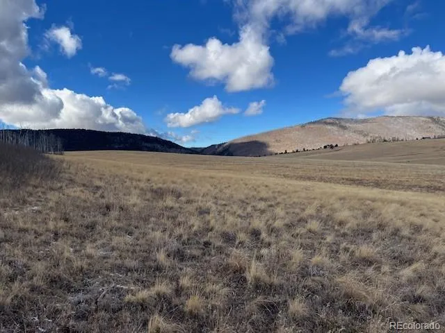 Lot 2397 Petito Drive Fort Garland, CO 81133