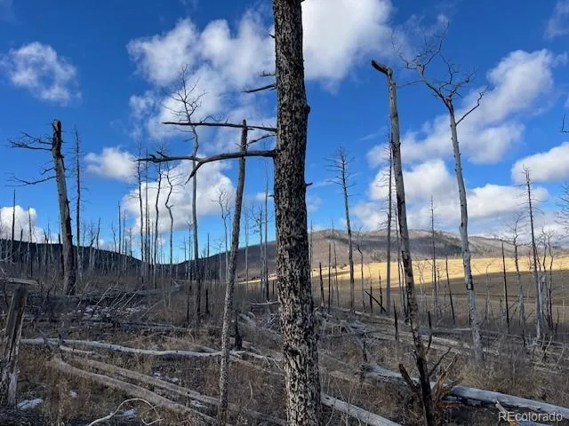 Lot 2397 Petito Drive Fort Garland, CO 81133