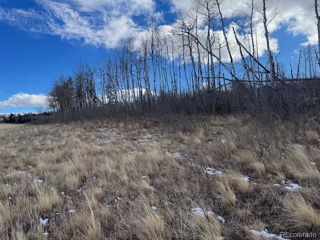 Lot 2397 Petito Drive Fort Garland, CO 81133