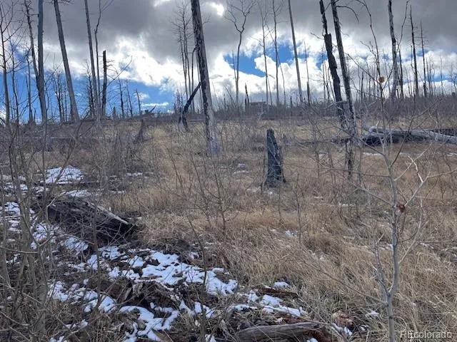 Lot 2397 Petito Drive Fort Garland, CO 81133