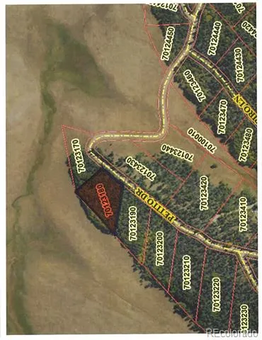 Lot 2397 Petito Drive Fort Garland, CO 81133