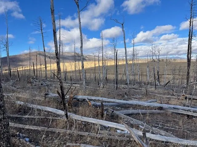 Lot 2397 Petito Drive Fort Garland, CO 81133