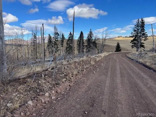 Lot 2397 Petito Drive Fort Garland, CO 81133