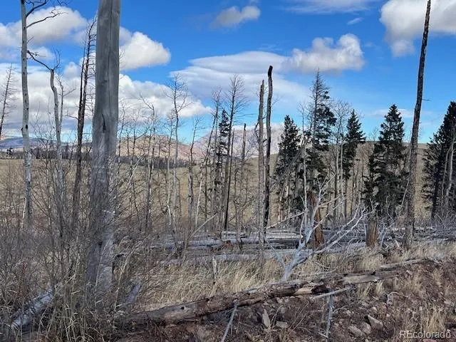 Lot 2397 Petito Drive Fort Garland, CO 81133
