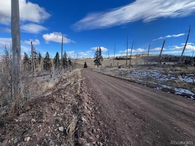 Lot 2397 Petito Drive Fort Garland, CO 81133