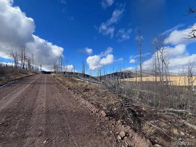 Lot 2397 Petito Drive Fort Garland, CO 81133