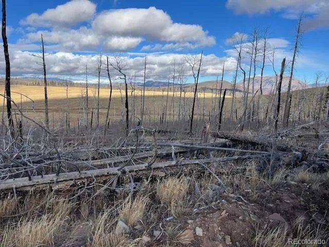 Lot 2397 Petito Drive Fort Garland, CO 81133