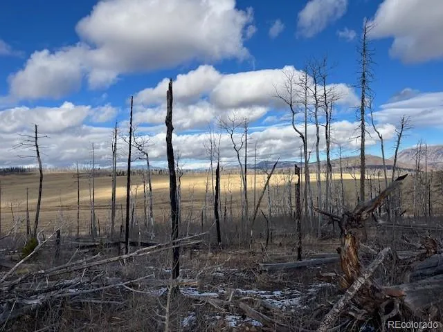 Lot 2397 Petito Drive Fort Garland, CO 81133
