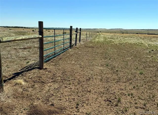 TBD Lot 13A Pickney Road Rye, CO 81069