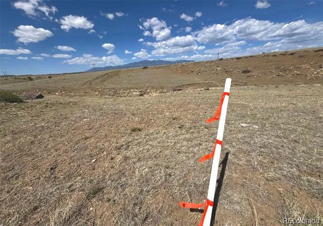 TBD Lot 13A Pickney Road Rye, CO 81069