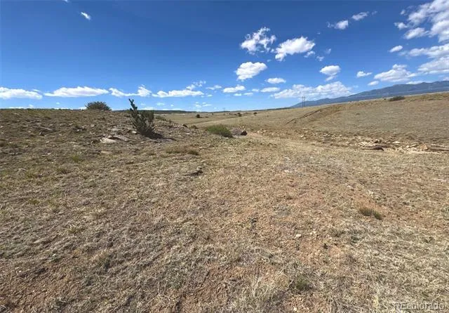 TBD Lot 13A Pickney Road Rye, CO 81069