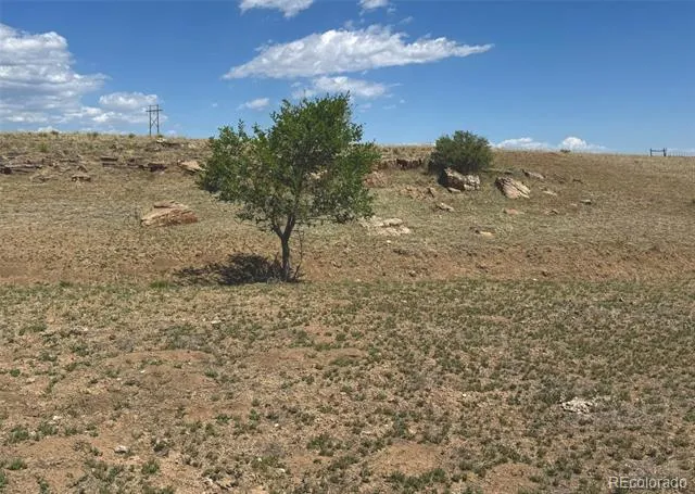 TBD Lot 13A Pickney Road Rye, CO 81069