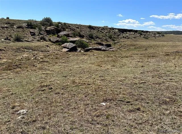 TBD Lot 13A Pickney Road Rye, CO 81069