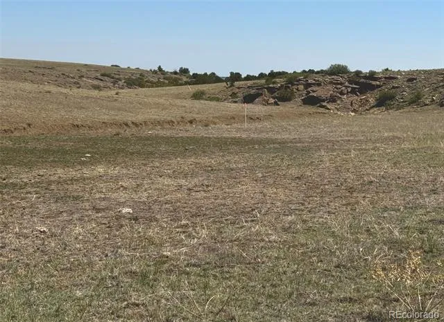 TBD Lot 13A Pickney Road Rye, CO 81069