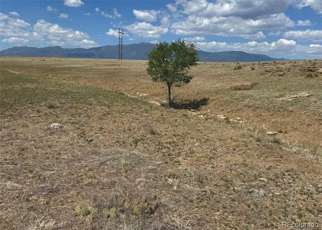 TBD Lot 13A Pickney Road Rye, CO 81069