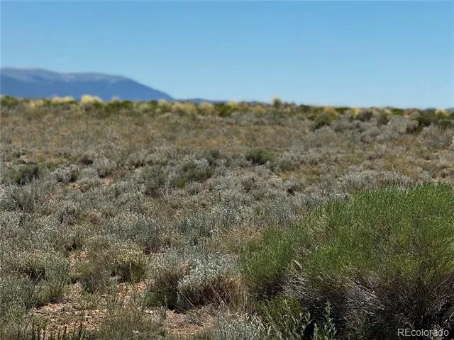 Lot 1 Dick Road San Luis, CO 81152