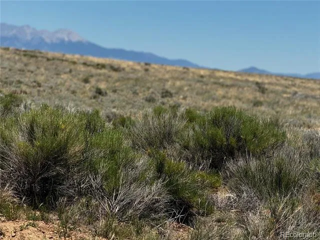 Lot 1 Dick Road San Luis, CO 81152