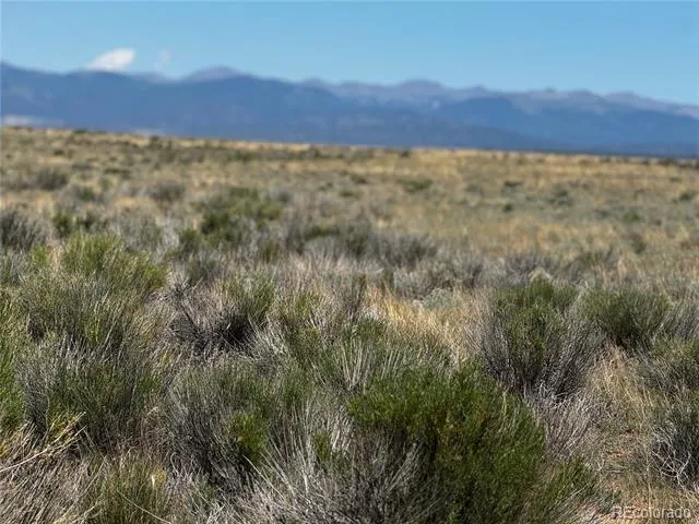 Lot 1 Dick Road San Luis, CO 81152