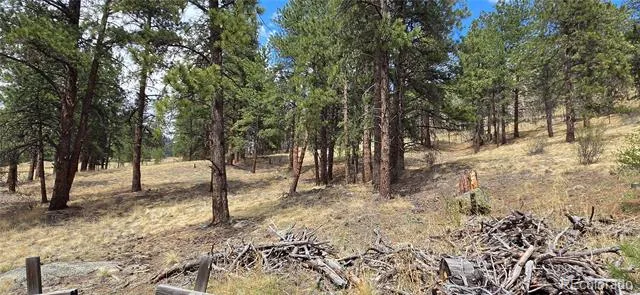 62430 US Highway 285 Bailey, CO 80421
