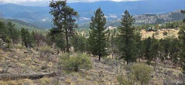 62430 US Highway 285 Bailey, CO 80421