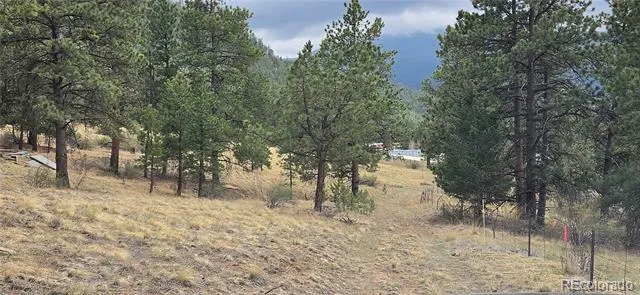 62430 US Highway 285 Bailey, CO 80421