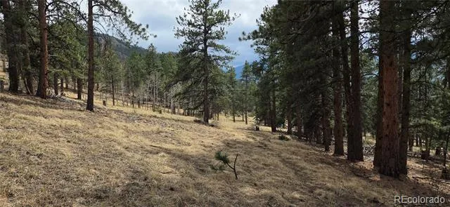 62430 US Highway 285 Bailey, CO 80421