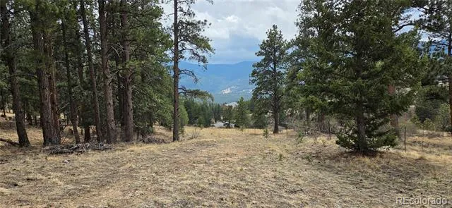 62430 US Highway 285 Bailey, CO 80421