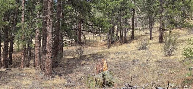 62430 US Highway 285 Bailey, CO 80421