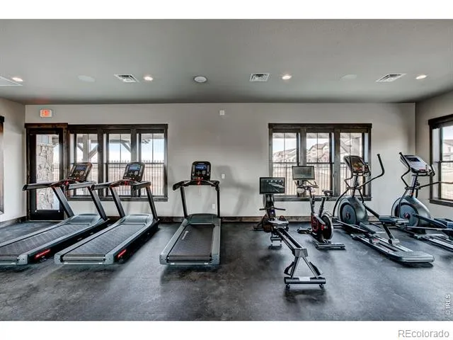 6226 Vernazza Way #3 Windsor, CO 80550