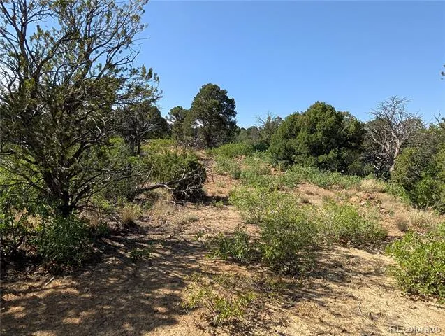 Fishers Peak Ranch Lot E Trinidad, CO 81082