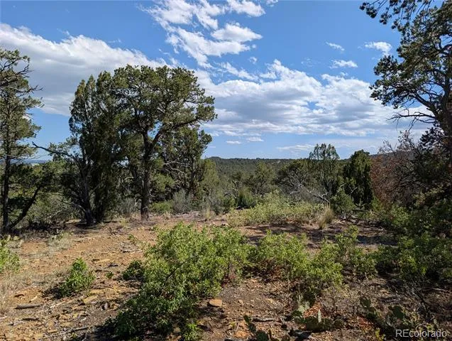 Fishers Peak Ranch Lot E Trinidad, CO 81082