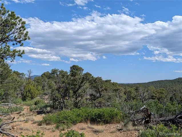 Fishers Peak Ranch Lot E Trinidad, CO 81082