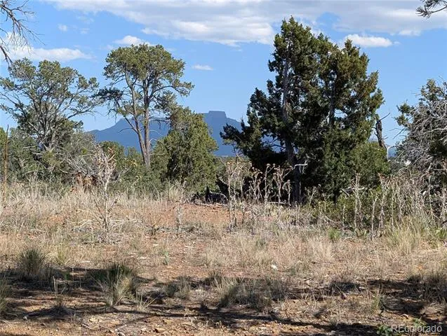 Fishers Peak Ranch Lot E Trinidad, CO 81082