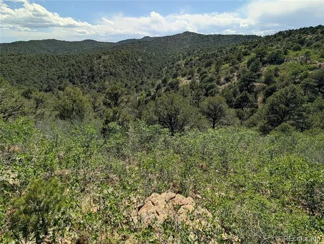 Fishers Peak Ranch Lot E Trinidad, CO 81082