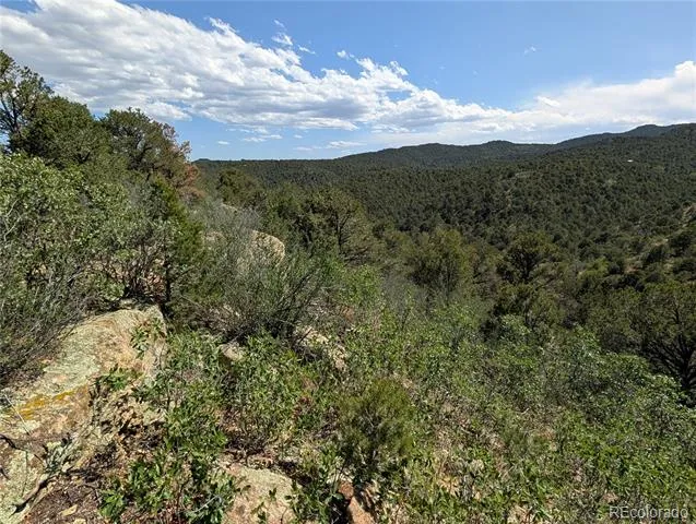 Fishers Peak Ranch Lot E Trinidad, CO 81082
