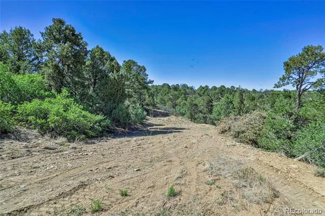 Fishers Peak Ranch Lot E Trinidad, CO 81082