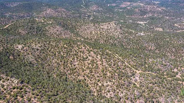 Fishers Peak Ranch Lot E Trinidad, CO 81082