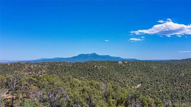 Fishers Peak Ranch Lot E Trinidad, CO 81082