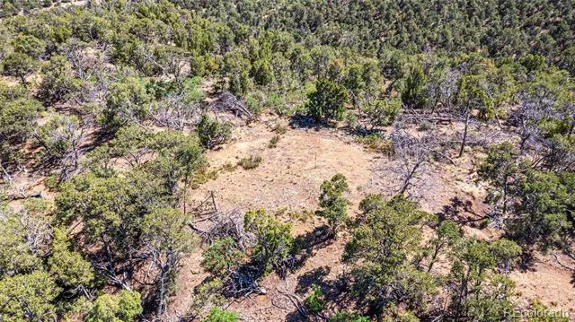 Fishers Peak Ranch Lot E Trinidad, CO 81082