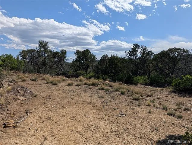 Fishers Peak Ranch Lot E Trinidad, CO 81082