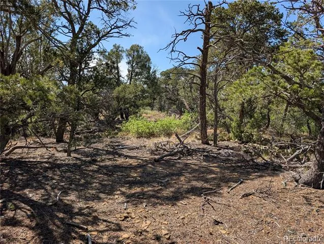 Fishers Peak Ranch Lot E Trinidad, CO 81082