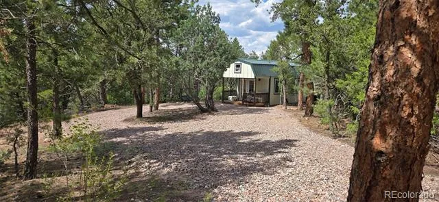 165 Mosswood Drive Cotopaxi, CO 81223
