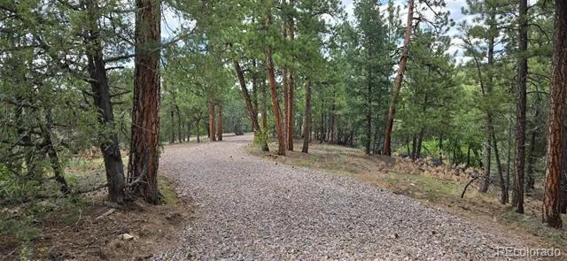 165 Mosswood Drive Cotopaxi, CO 81223