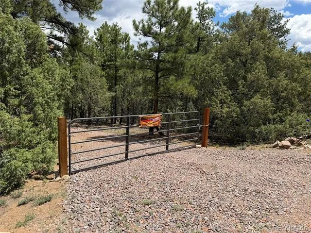 165 Mosswood Drive Cotopaxi, CO 81223