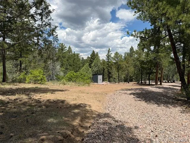 165 Mosswood Drive Cotopaxi, CO 81223