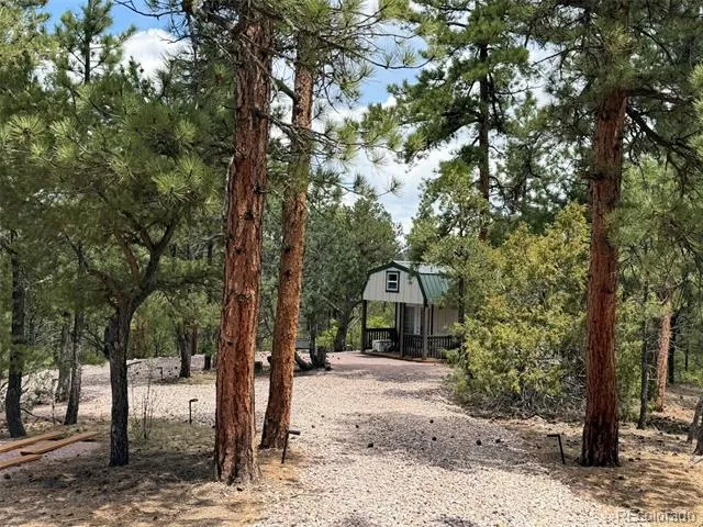 165 Mosswood Drive Cotopaxi, CO 81223