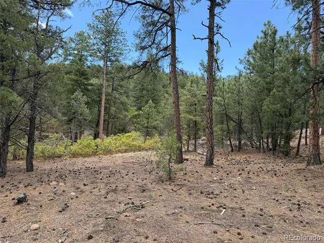 165 Mosswood Drive Cotopaxi, CO 81223