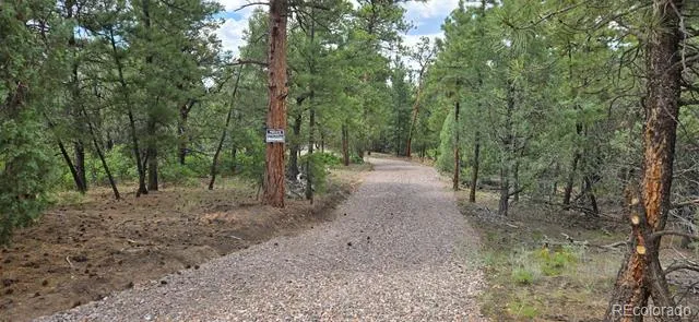 165 Mosswood Drive Cotopaxi, CO 81223